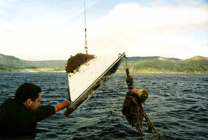 Localización de objetos sumergidos